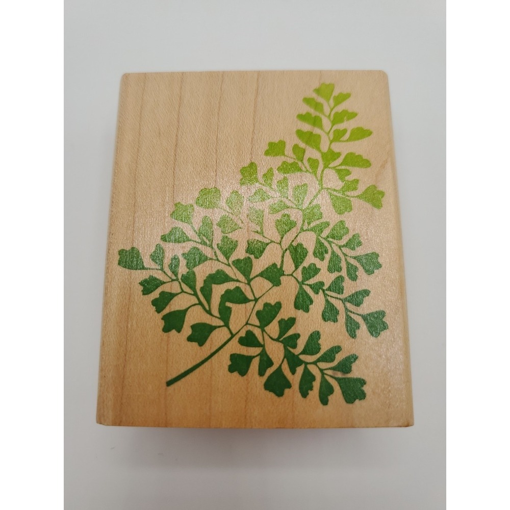 Vintage Stampede Rubber Stamp, A1129H Maiden Hair Fern, Plants